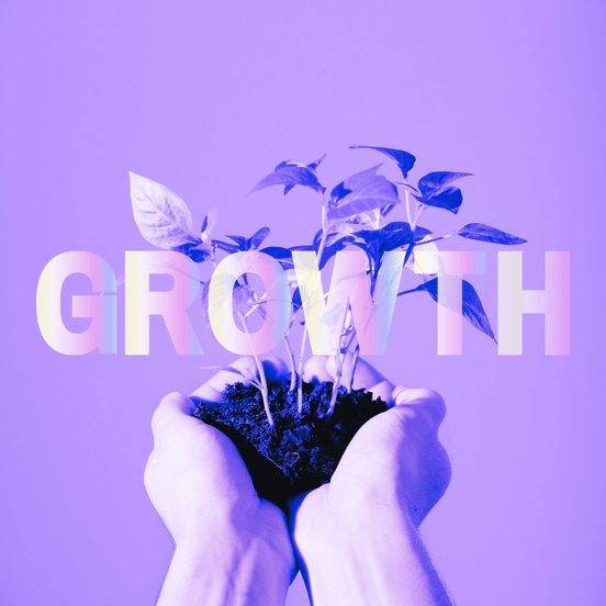 Serviços de growth